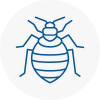 Bed Bug Extermination In Soho