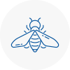 Bee Nest Removal Soho
