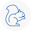 Soho Rodent Removals